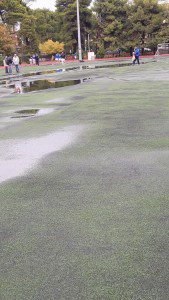 14795742_1816543565282911_1549254528_o