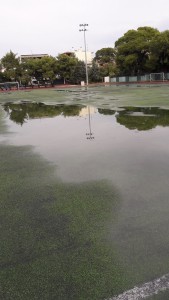 14800016_1816543578616243_2086096632_o