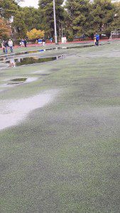 14808894_1816543595282908_1882987256_o