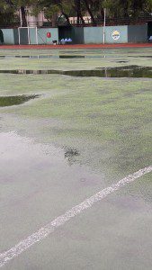 14813024_1816543531949581_862042584_o